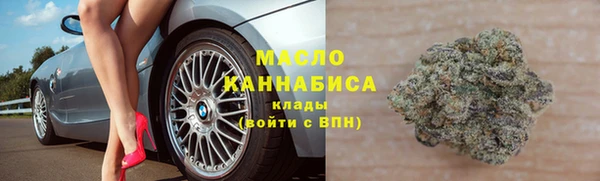 гашик Горняк