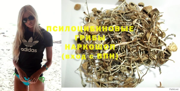 гидропоника Абинск