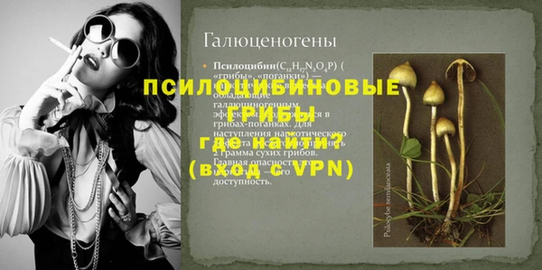 ПСИЛОЦИБИНОВЫЕ ГРИБЫ Абдулино
