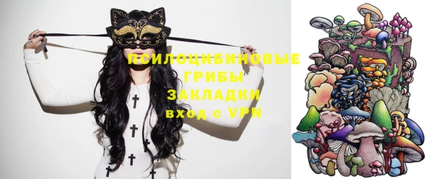 2c-b Алзамай